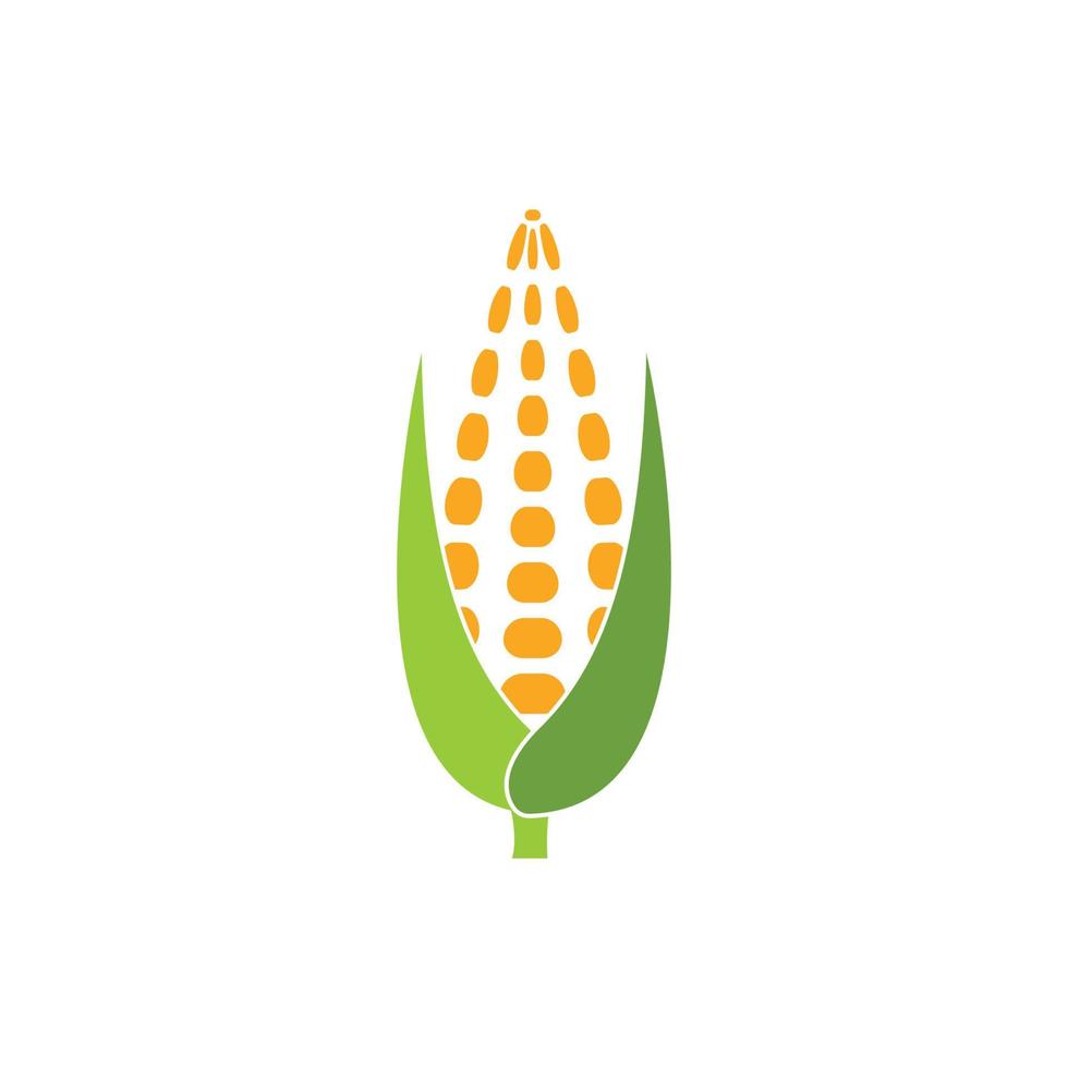 corn vector icon illustration design