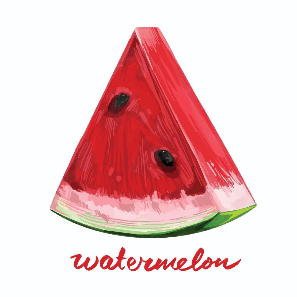 Ripe delicious and juicy sliced watermelon triangle fruit. Vector illustration isolated on plain square white background. Food drawing with textured art style.