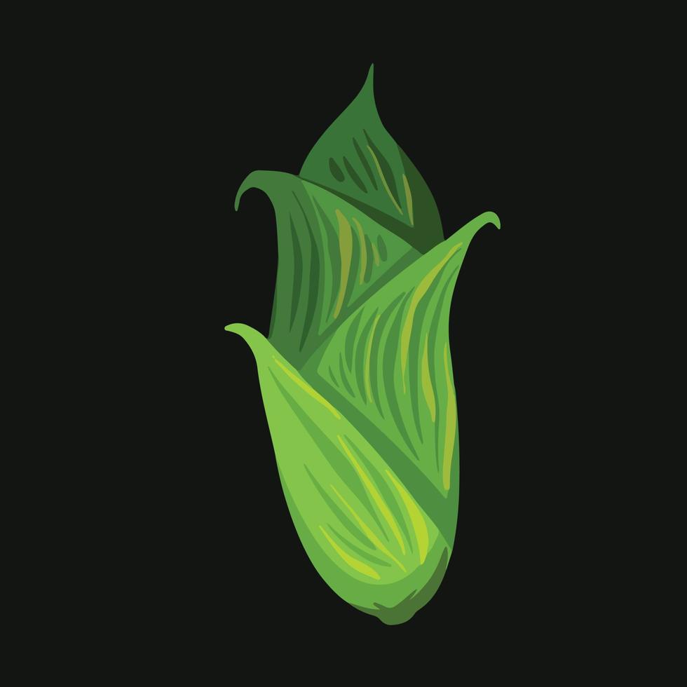 Whole green unripe corn leaves harvest crop vector illustration isolated on dark square template. Organic greenery farming harvest object drawing with cartoon simple flat art style.