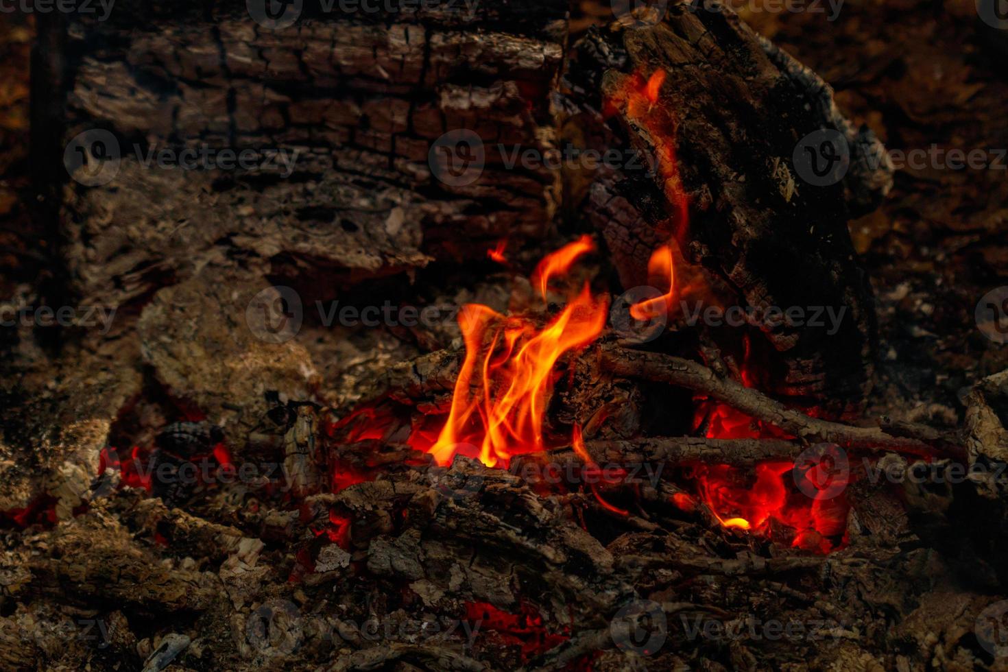 texture flame from burning logs at night photo