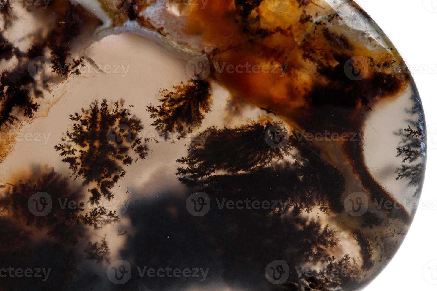 Macro mineral stone Moss Agate, Agata muschiataan photo