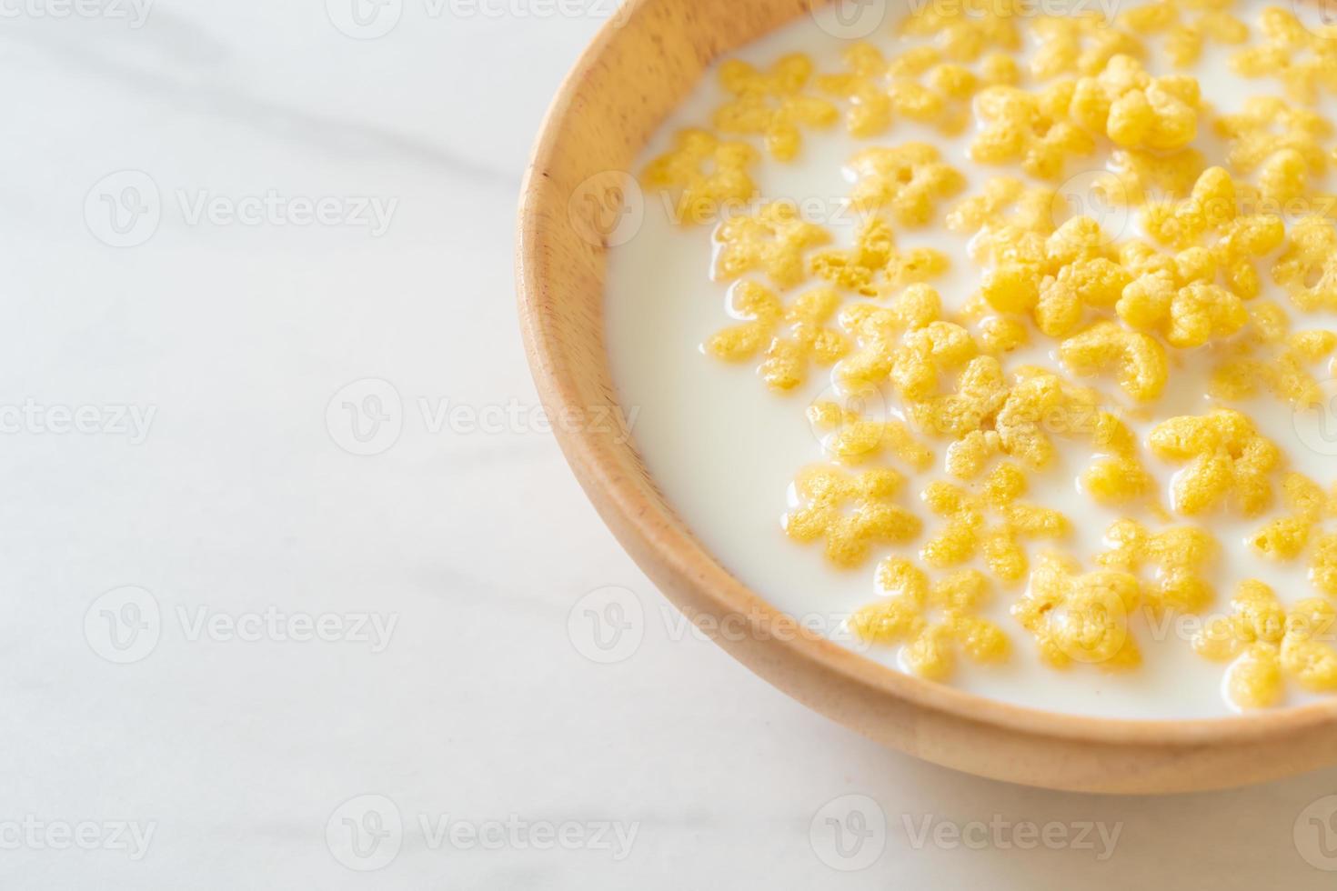 cereals with fresh milk photo