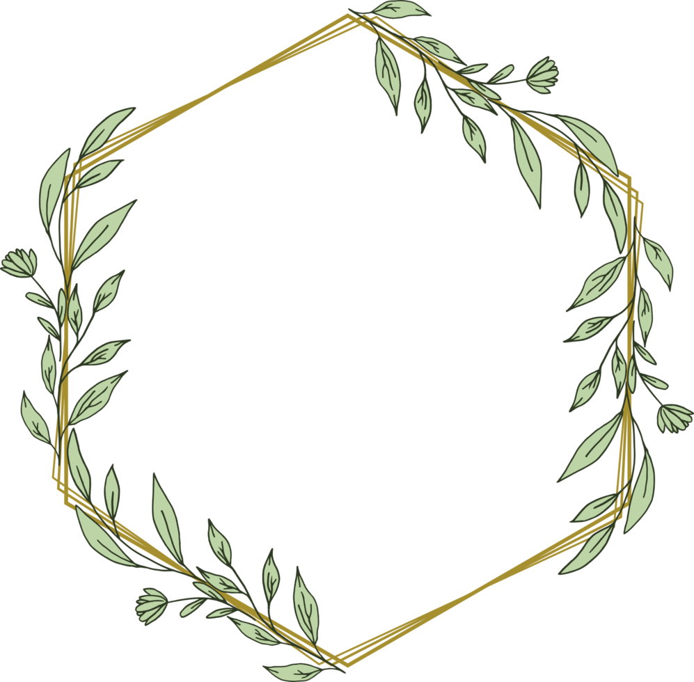 or hexagone Cadre minimaliste floral couronne ou hexagone floral Cadre png