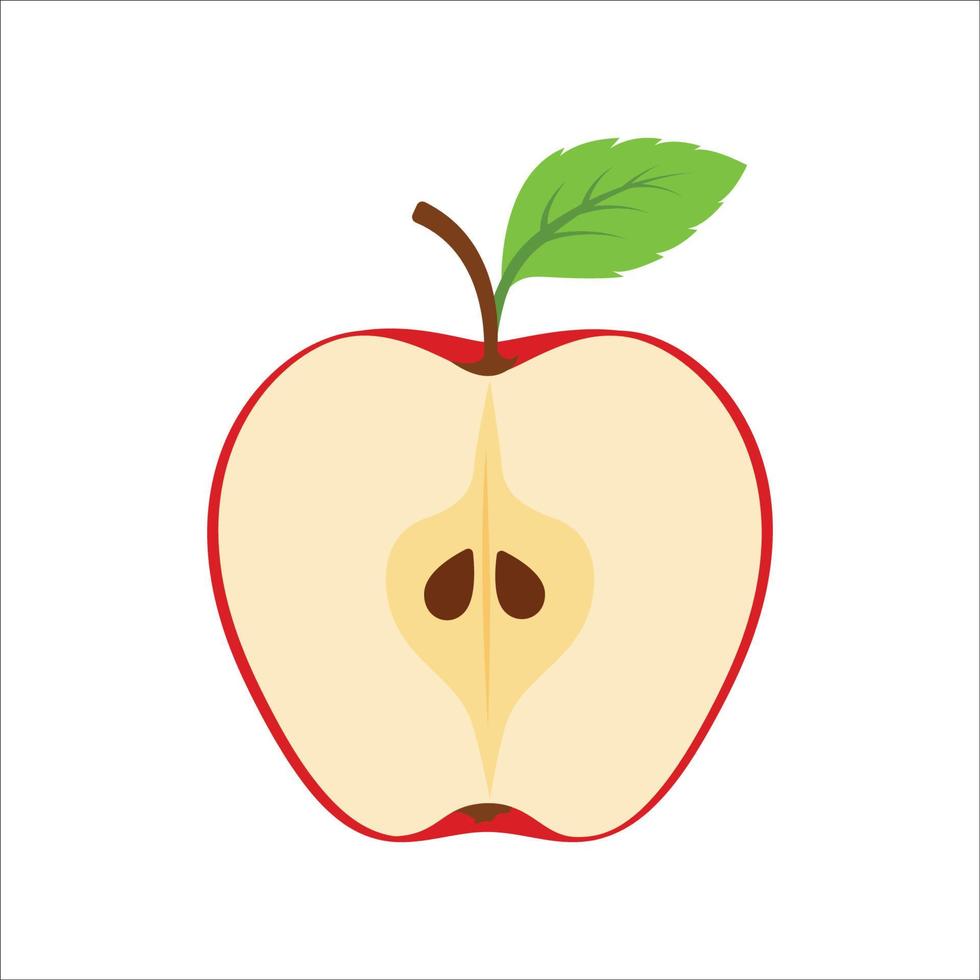 Apple fruit vector illustration. Cut half of an apple. Ripe apple fruit cut. A half cut of red apple fruit isolated on white background. Vector illustration