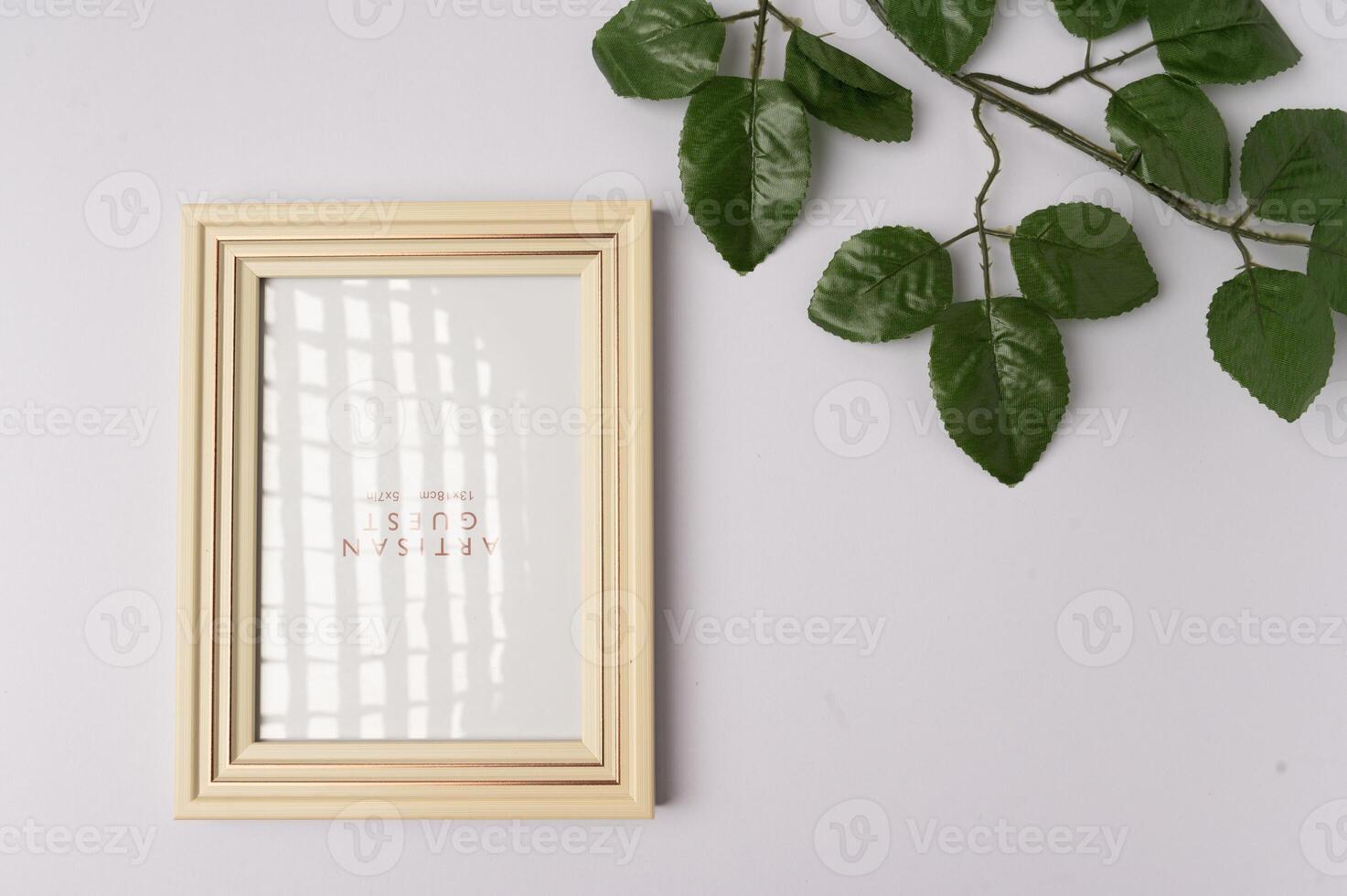 photo top view of frame with plant leaves