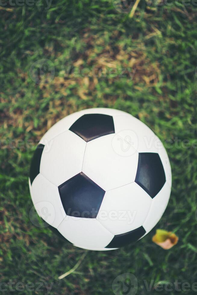 Football on grass field in the park photo