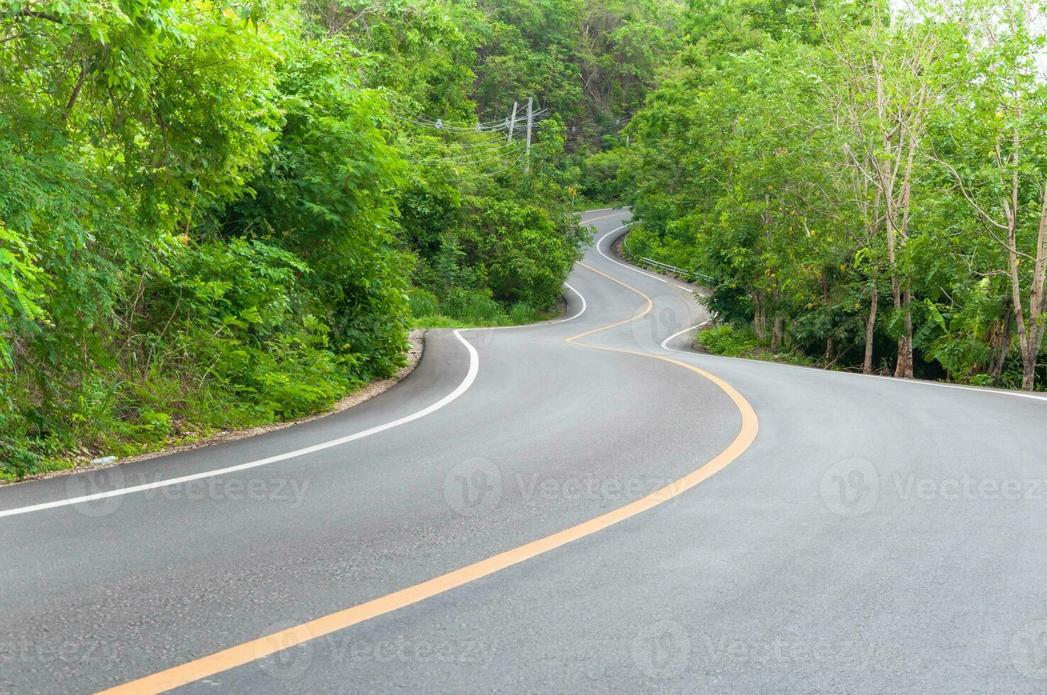 Countryside road with trees on both sides,Curve of the road photo