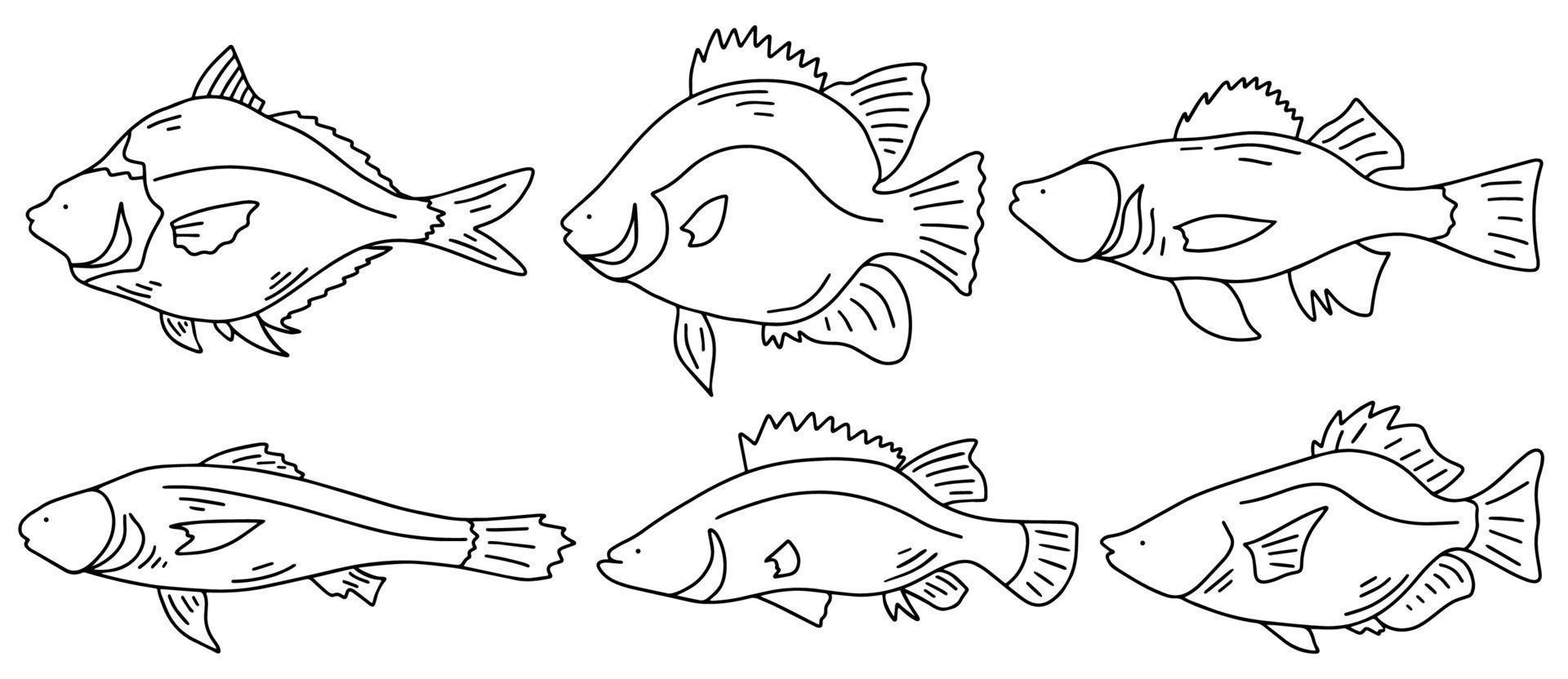 mar peces colocar, aislado en blanco antecedentes. mano dibujado bosquejo vector ilustración. peces río conjunto