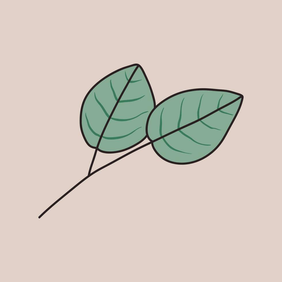 vector aislado ilustración de un ramita con hojas.