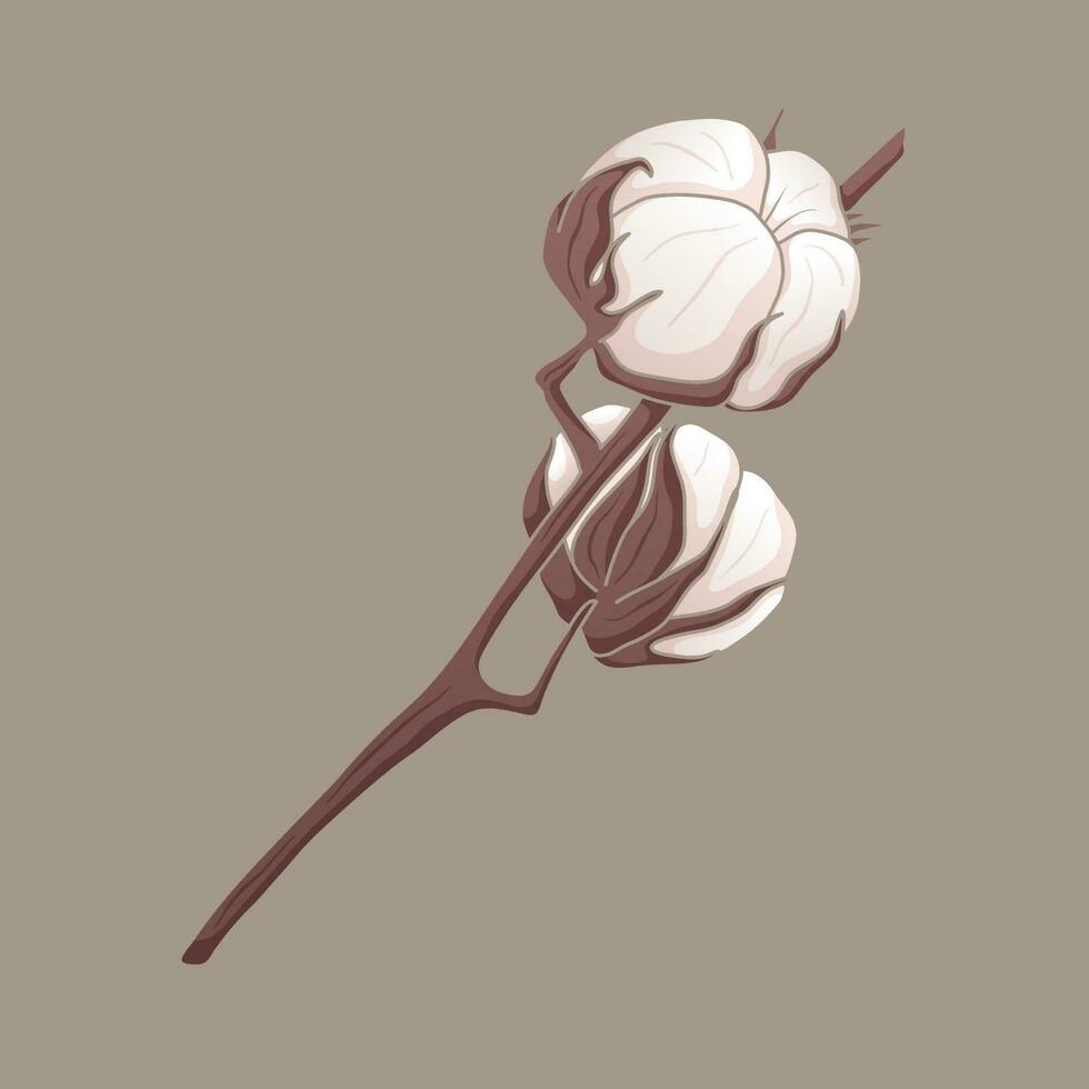 Vector isolated twig with cotton balls or buds.