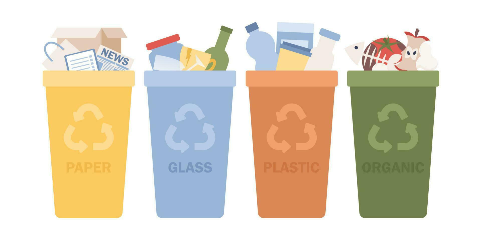 clasificación basura desperdiciar. reciclaje basura. papel, vaso, el plastico, orgánico basura en contenedores ambiental proteccion, ecología, salvar naturaleza. vector plano ilustración