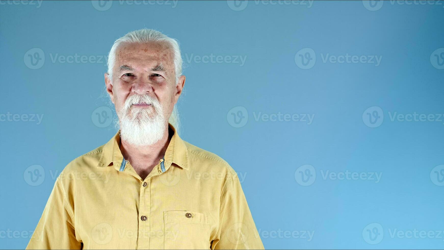 The White Haired Old Man Looking Portrait photo