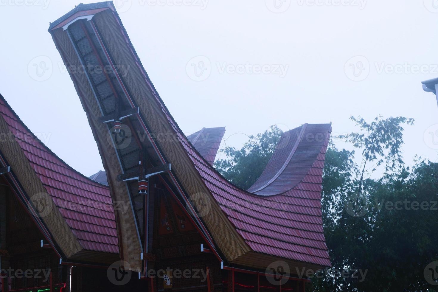 tonkonano, esta es hogar para muerto cuerpo desde toraja sur sulawesi, Indonesia foto