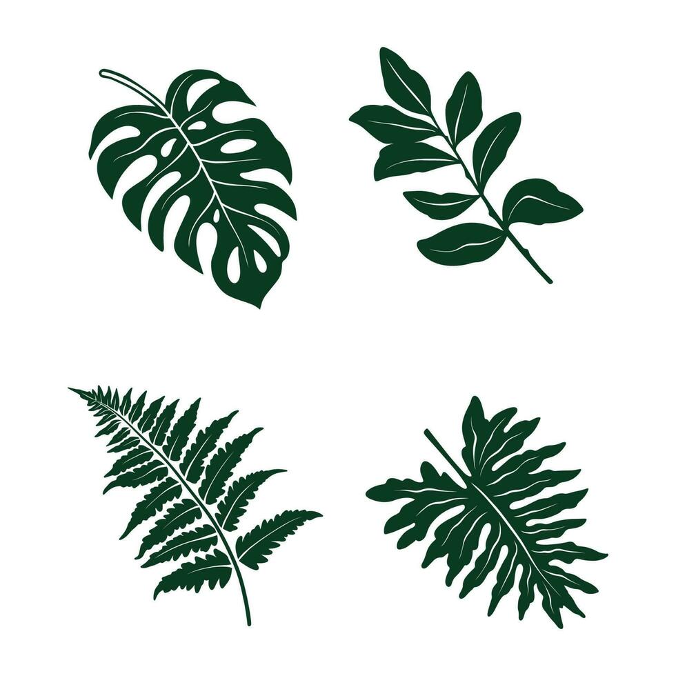 tropical hoja silueta vector conjunto