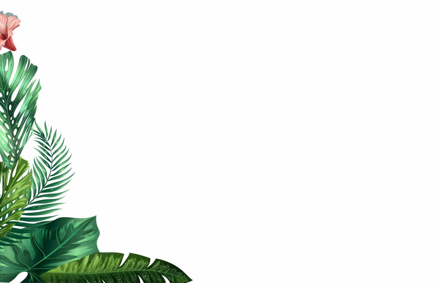 Monstera Leaf Background With Space Area for words or 3d rendering of falling leaves on white background. photo