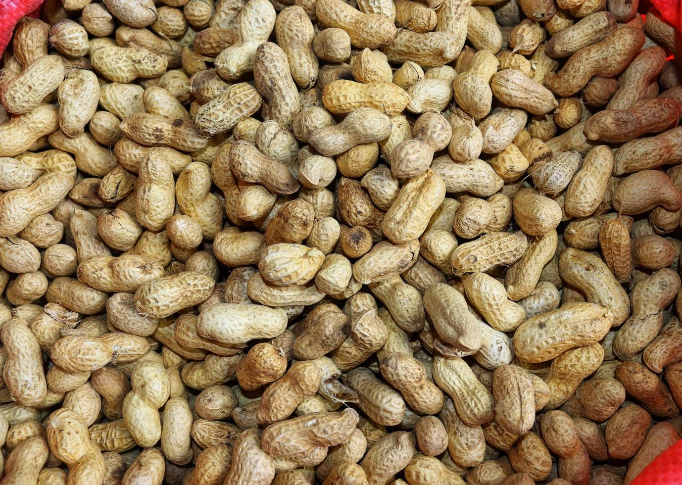 Peanuts in the shell. 20646447 Stock Photo at Vecteezy