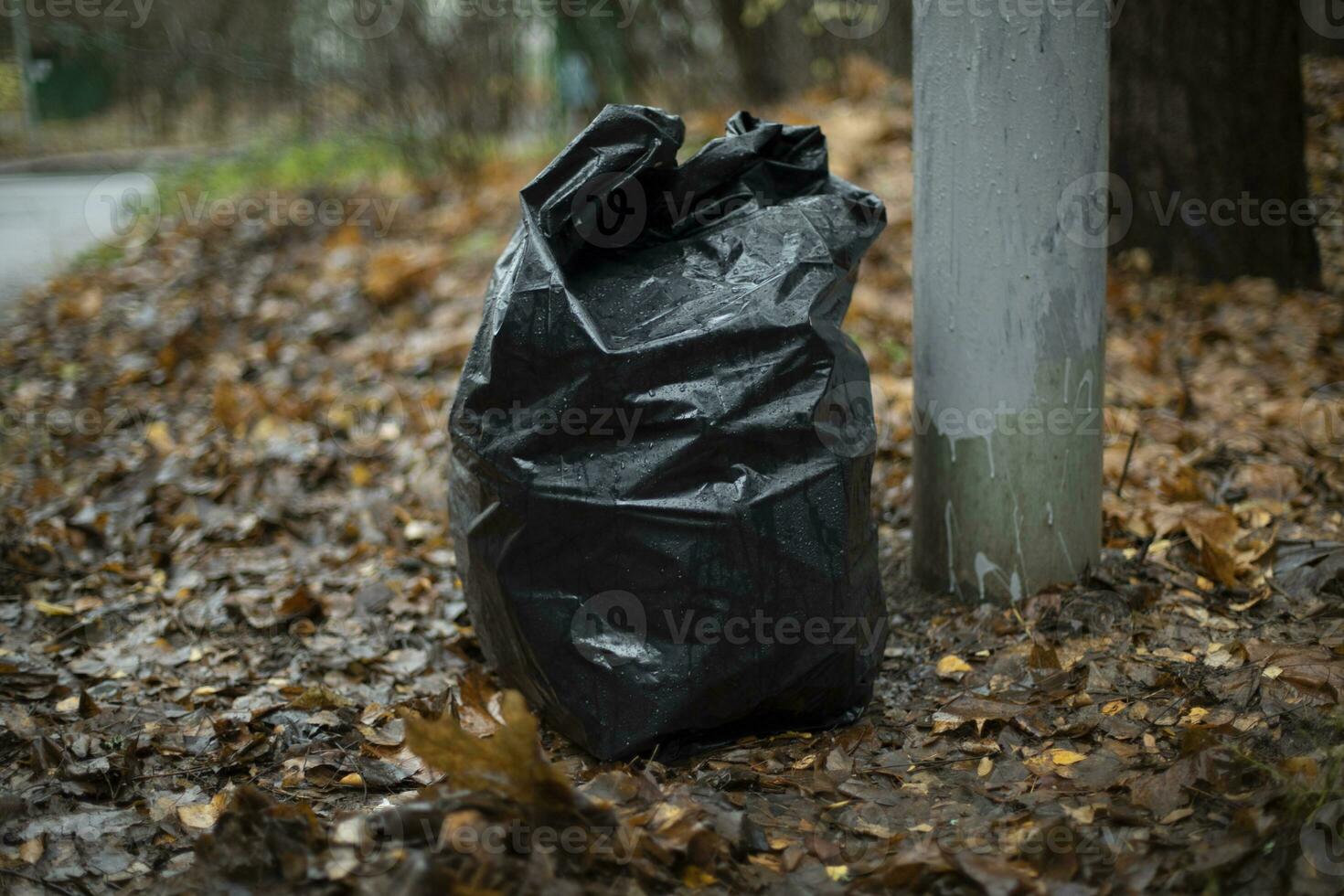 Black garbage bag. Waste bag. Cleaning in park. photo