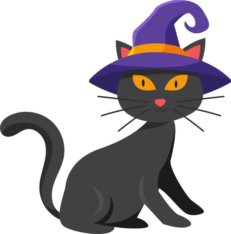 Víspera de Todos los Santos elemento ilustración con negro gato y bruja sombrero. png