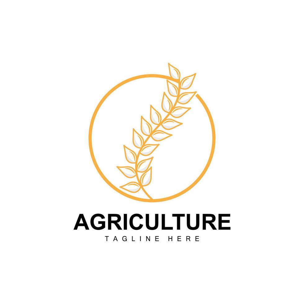 Rice Logo, Agriculture Design, Vector Wheat Rice Icon Template Illustration