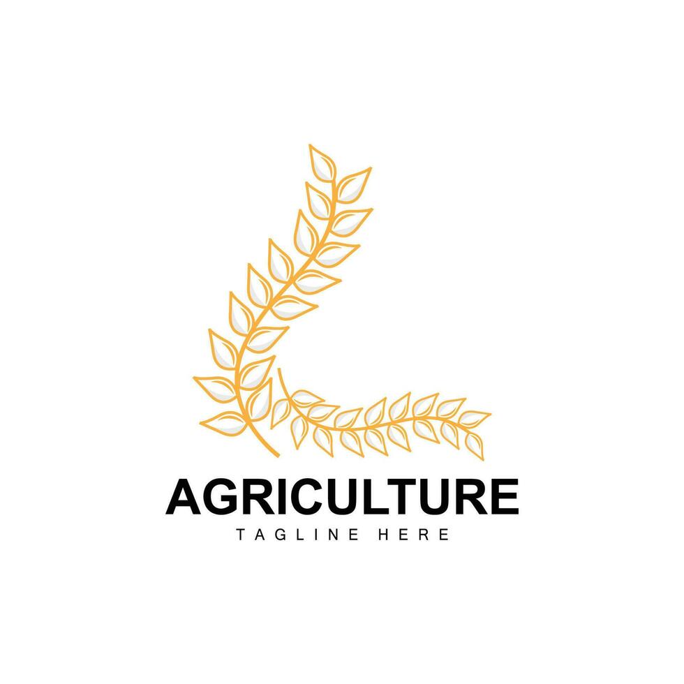 Rice Logo, Agriculture Design, Vector Wheat Rice Icon Template Illustration