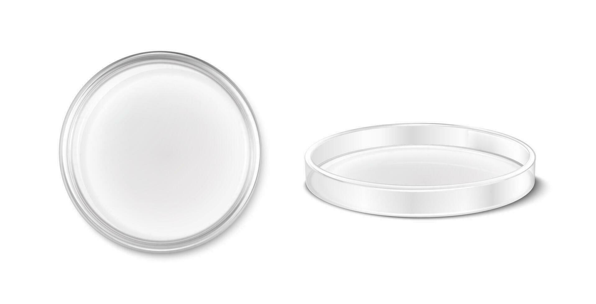 3d realistic vector icon. Petri dish. Laboratory and sience equipment. Test and research lab. Top and side view.