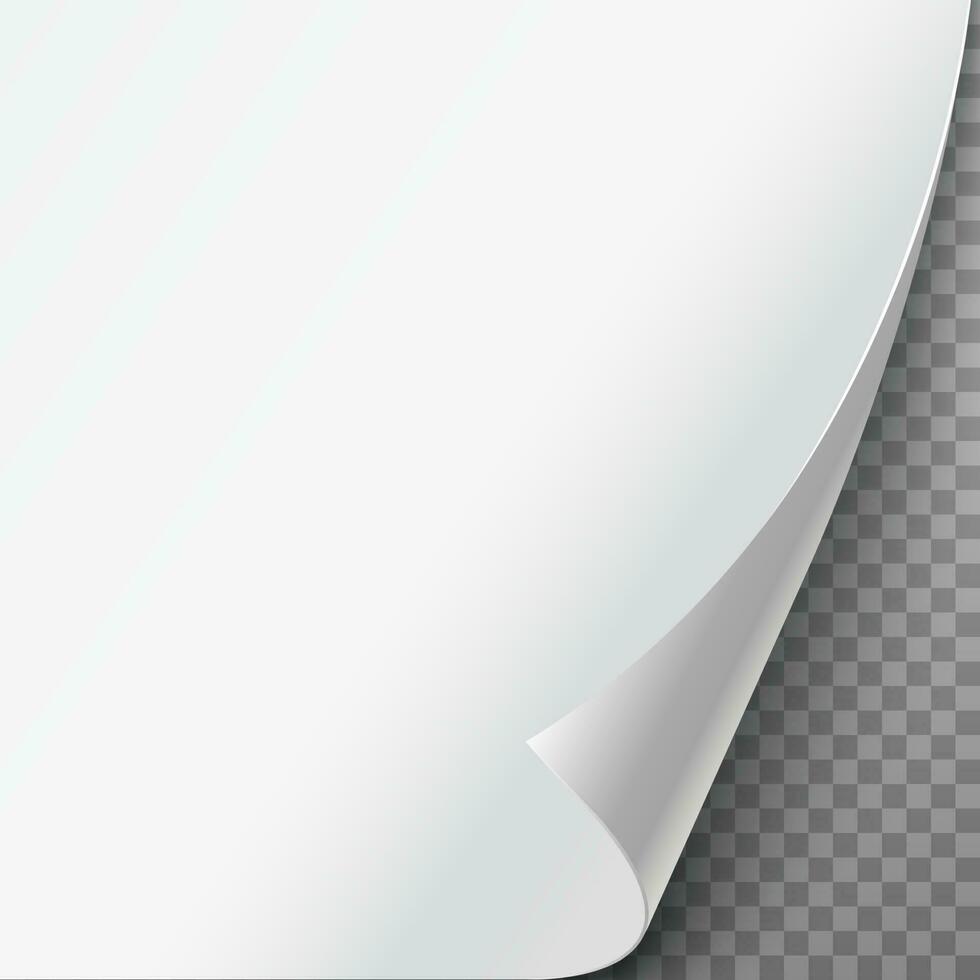 3d realistic vector illustration. Curled paper corner.