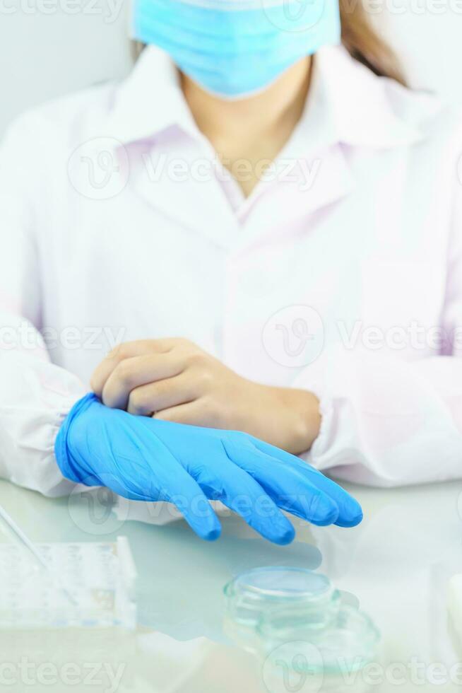 Scientist hands putting in nitrile blue latex gloves in labcoat wearing nitrile gloves photo