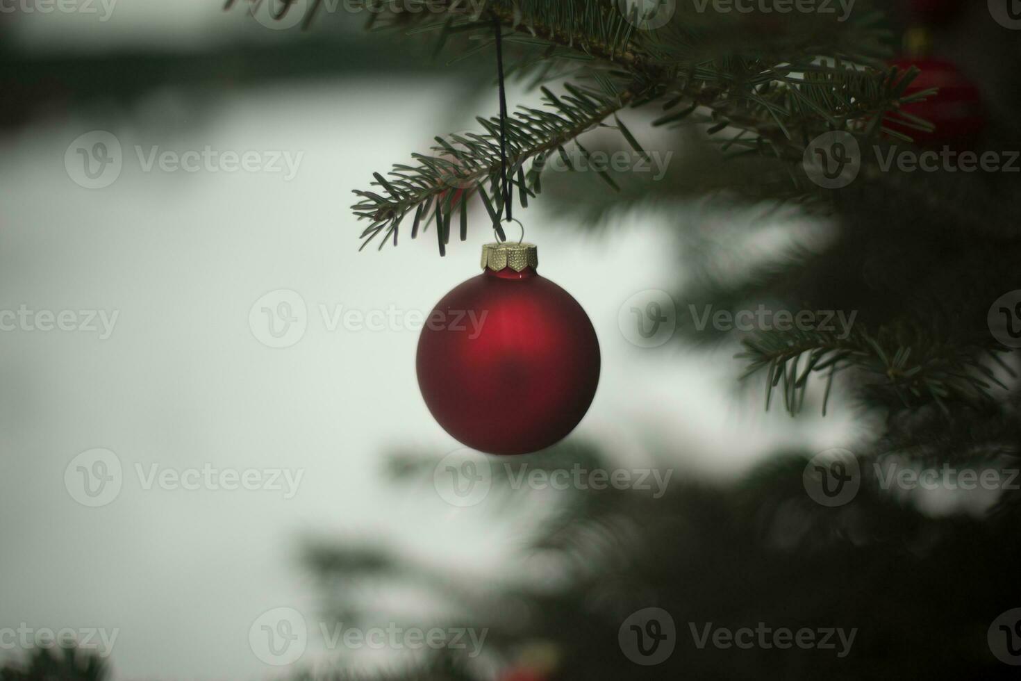 Red ball on green Christmas tree. Decoration for Christmas. Christmas Tree Details. photo