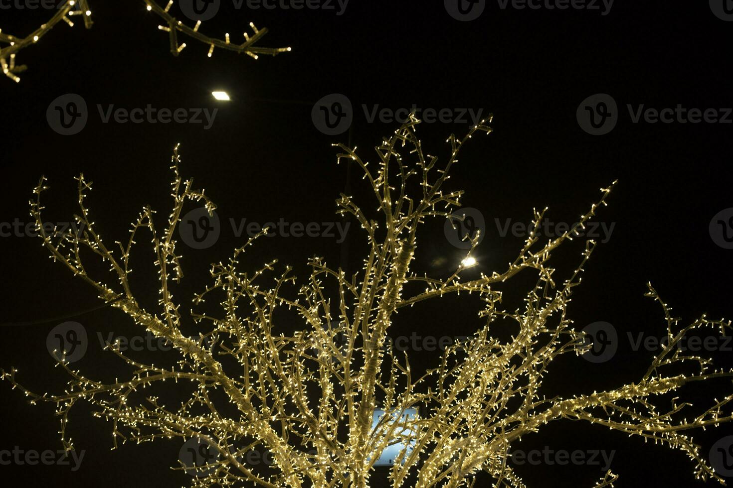 Tree in garlands in park. Garlands in city. Yellow light bulbs on artificial wood. photo