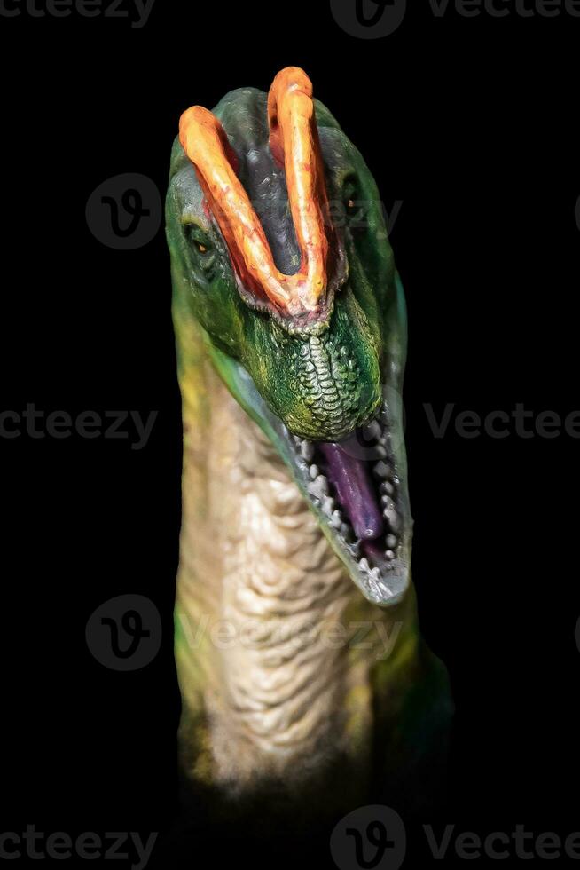 The head of Dilophosaurus in the dark , dinosaur on black background photo