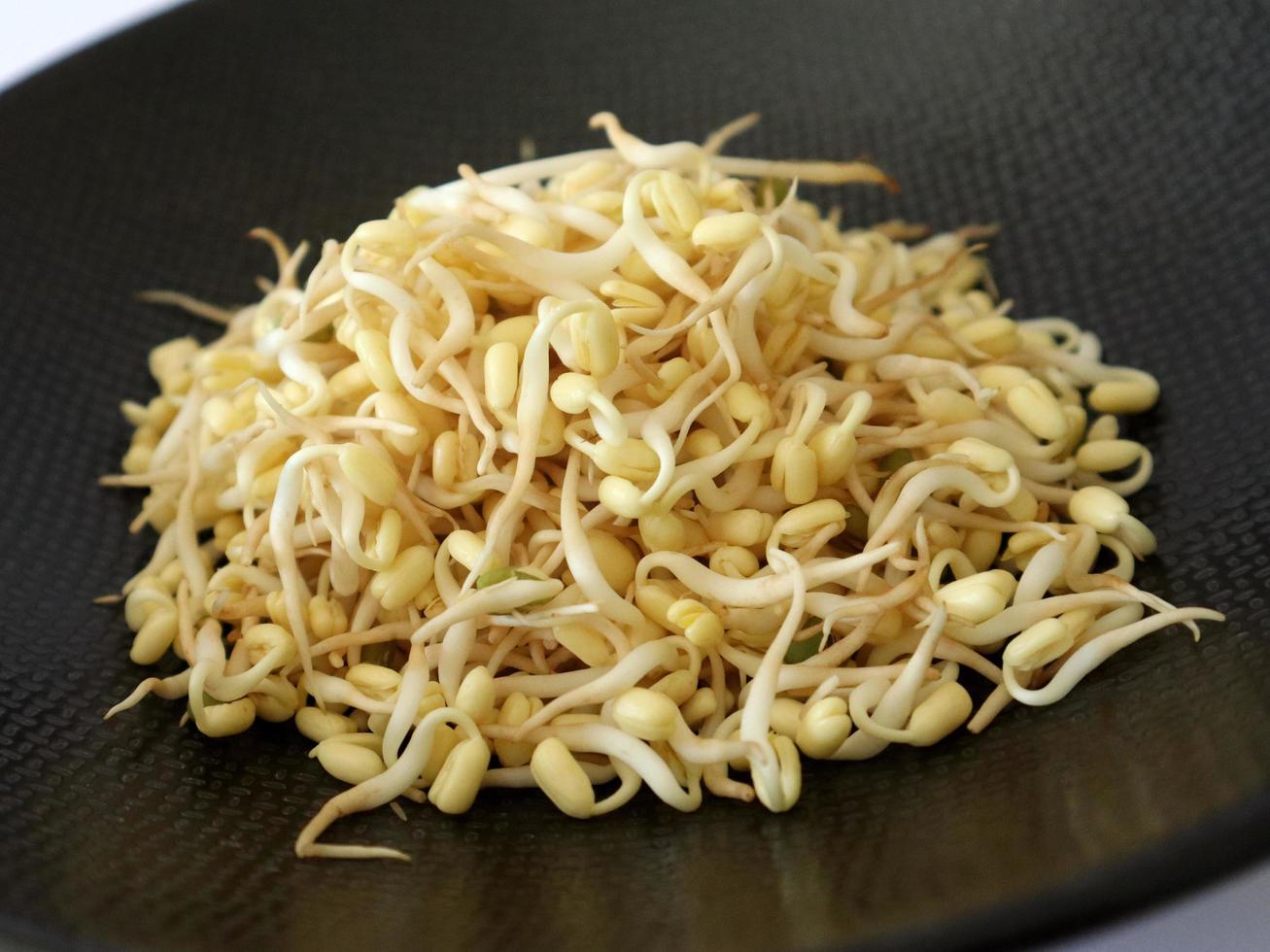 fresh bean sprouts in a black bowl photo