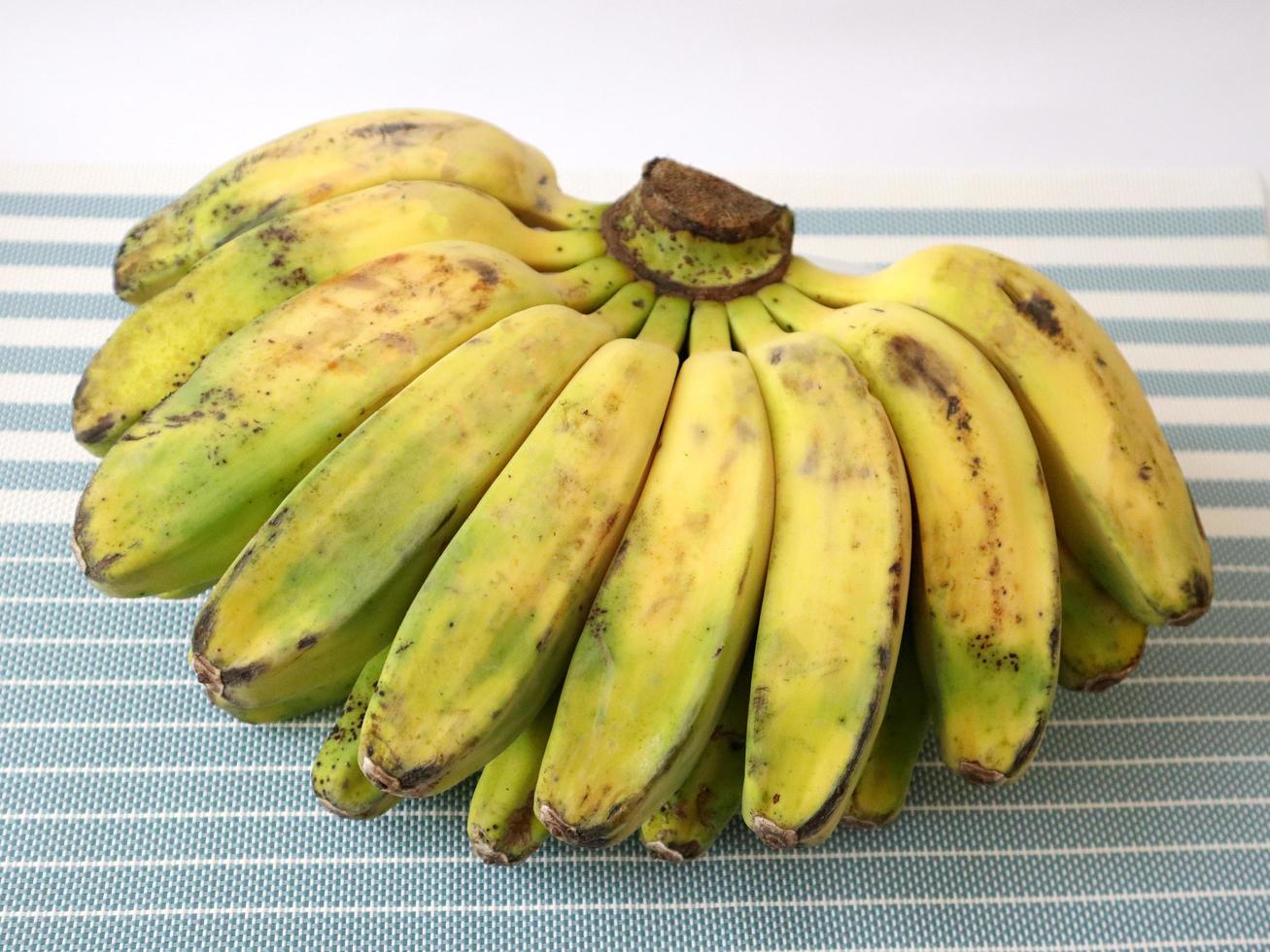 One type of banana photo