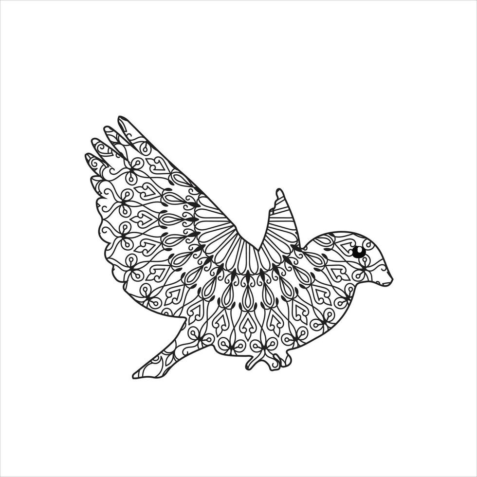 vector pájaro mandala colorante página