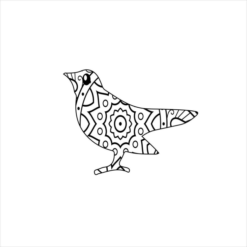 vector pájaro mandala colorante página