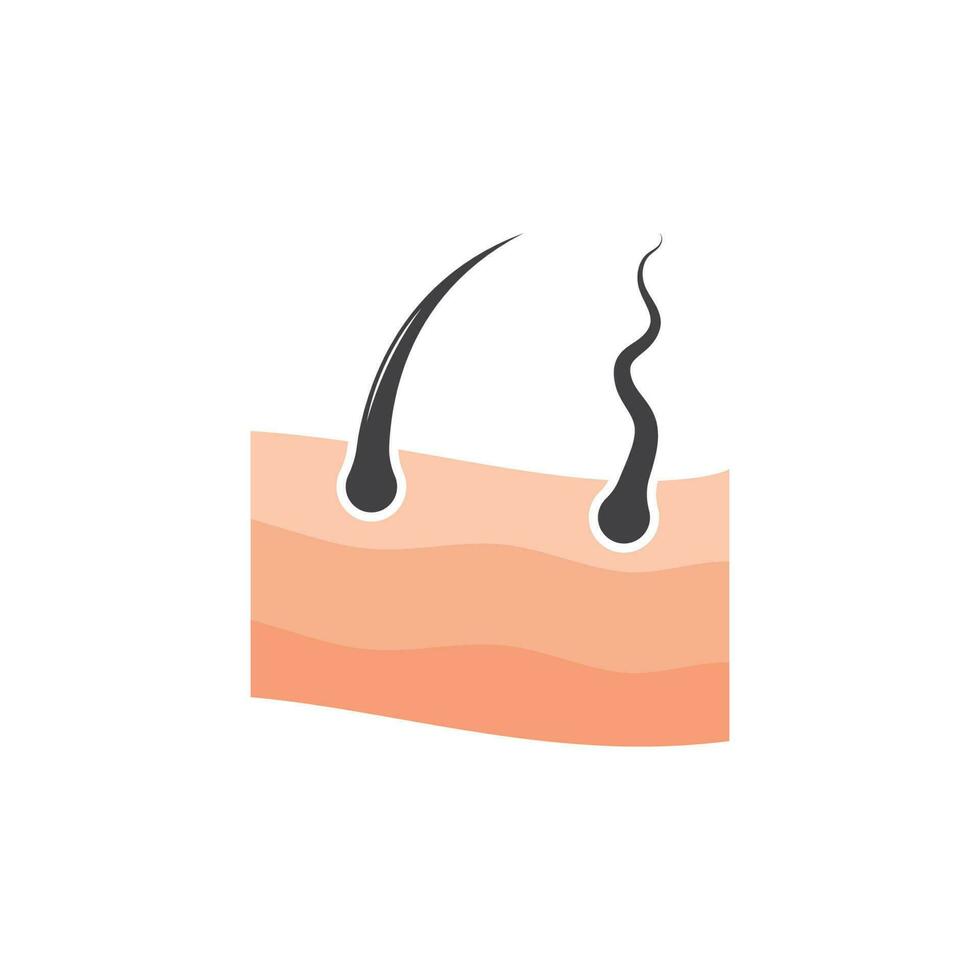 hair root icon vector illustration design
