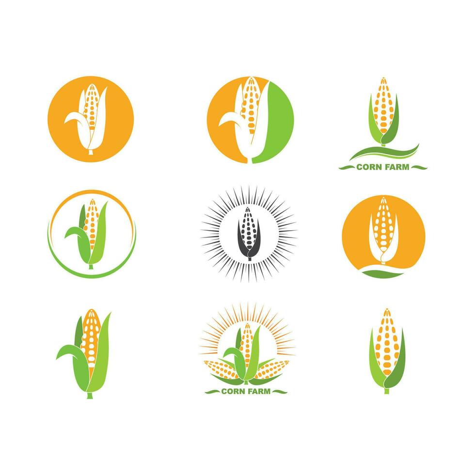 corn vector icon illustration design