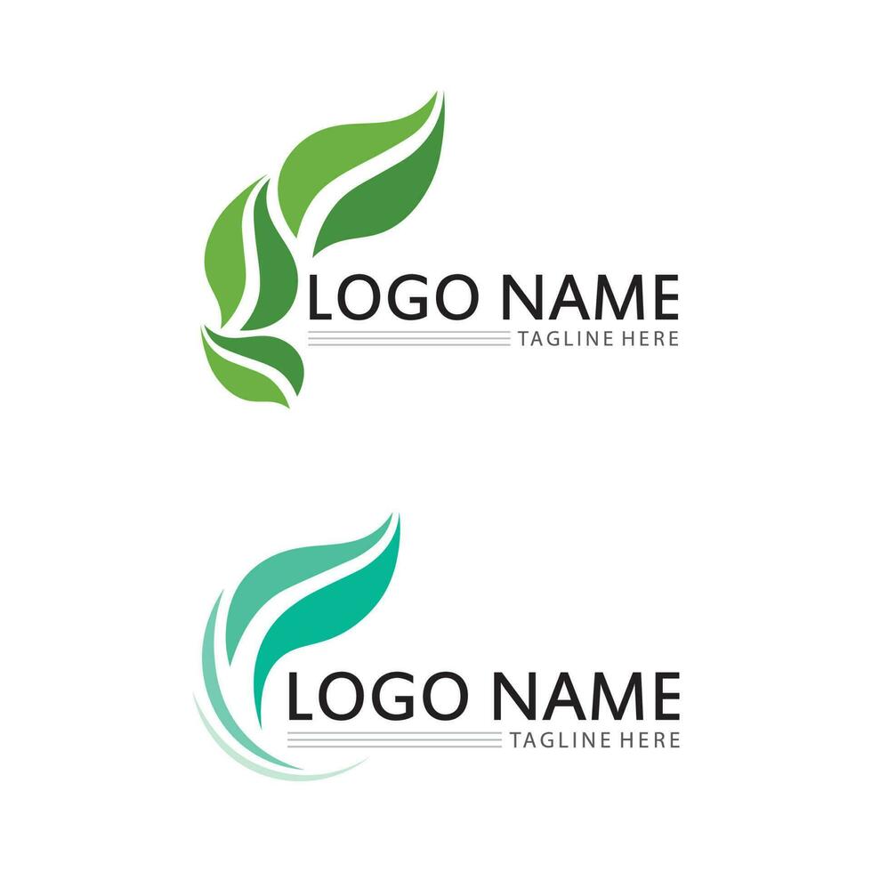 leaf logo design vector for nature symbol template editable,Green leaf logo ecology nature element vector icon.