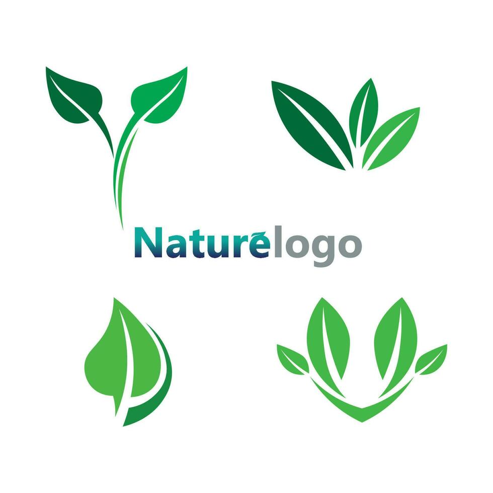 vector de diseño de logotipo de hoja para plantilla de símbolo de naturaleza editable, icono de vector de elemento de naturaleza de ecología de logotipo de hoja verde.