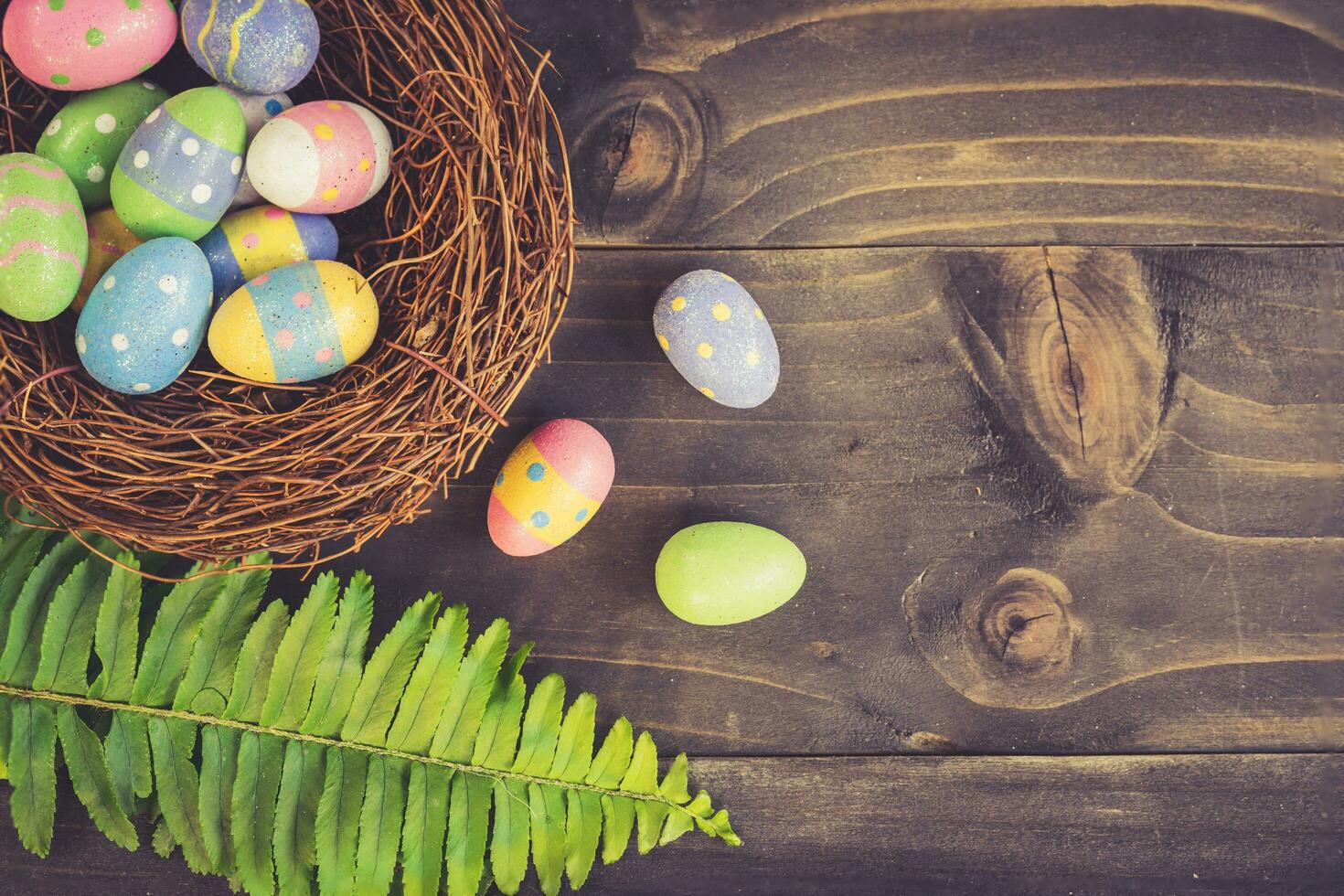 Colorful easter eggs in neat and green leaf on plank wooden background with space. photo