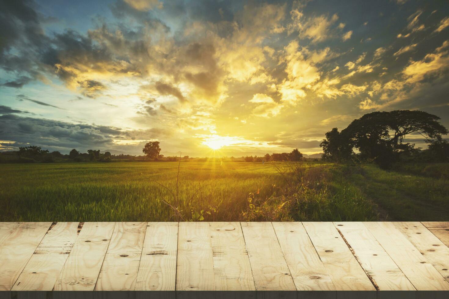 mesa de madera y campo de arroz y cielo azul al atardecer con destello de lente, montaje de exhibición para el producto. foto