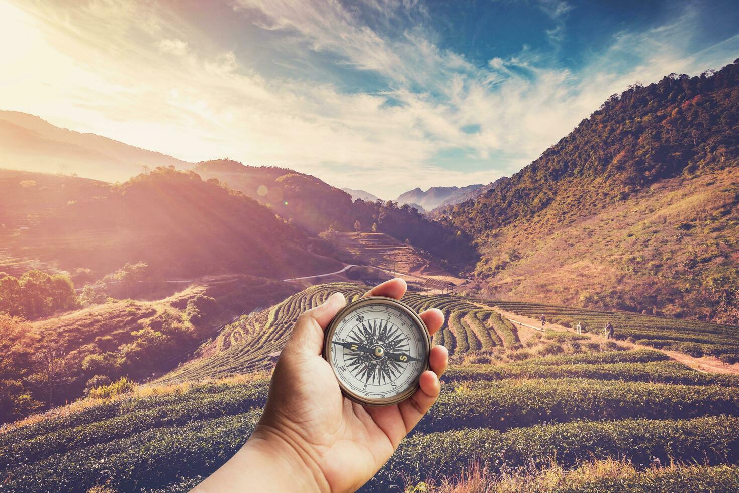 Hand holding compass nad tea field and sunrise vintage in morning. photo