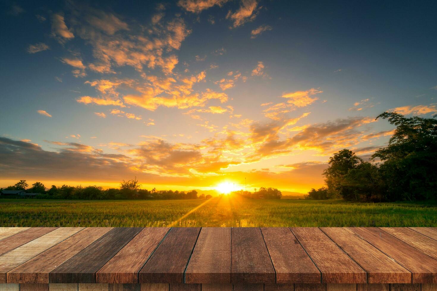 arroz campo puesta de sol y vacío madera mesa para producto monitor y montaje. foto