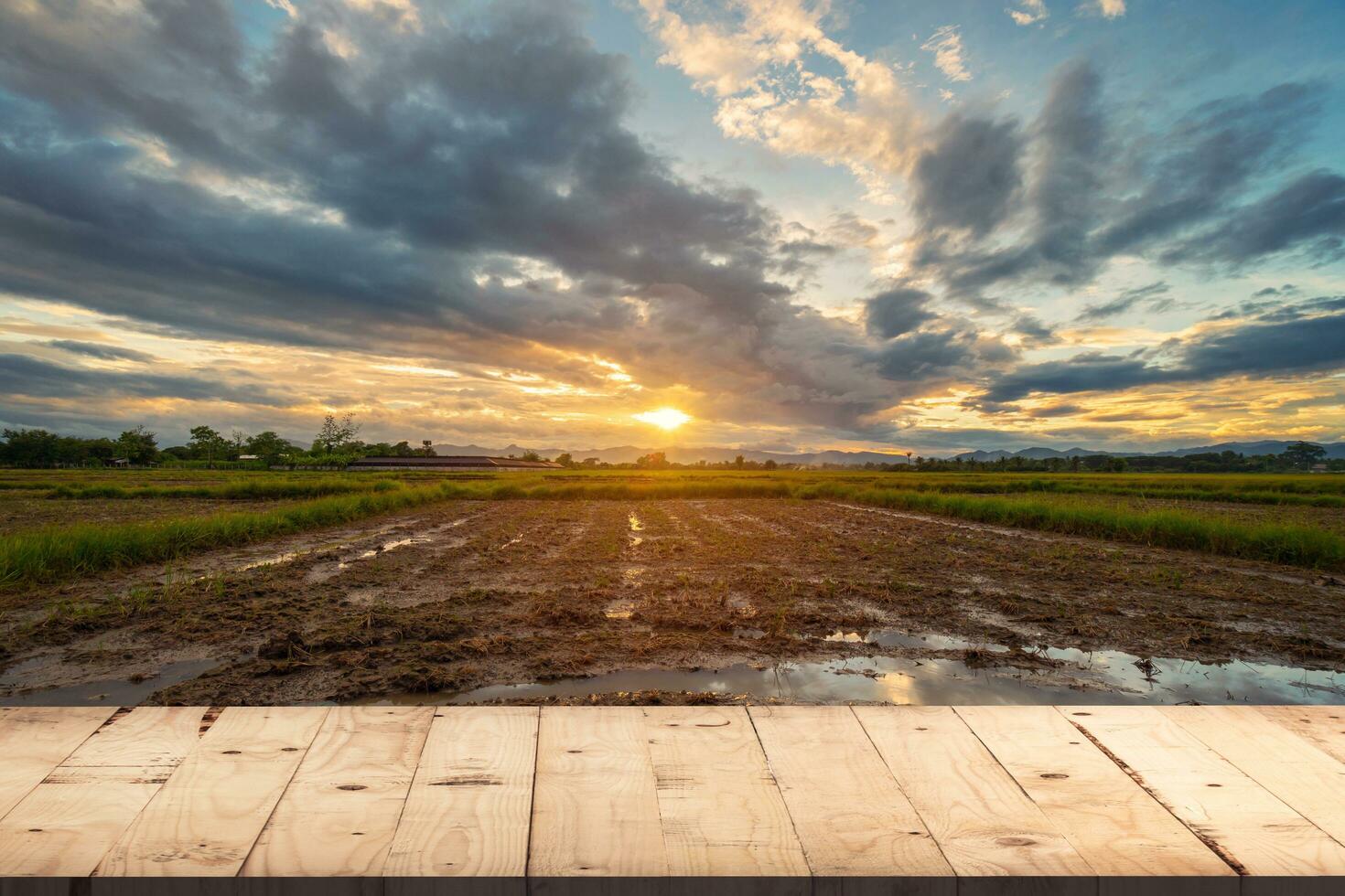 madera mesa para producto montaje y monitor con arroz campo luz de sol, foto