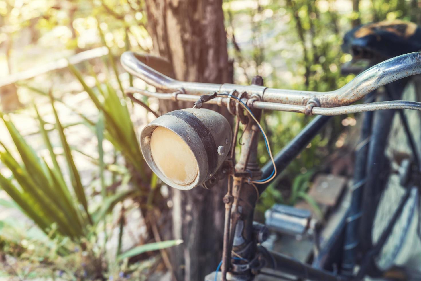 old vintage bicycle and light in garden photo