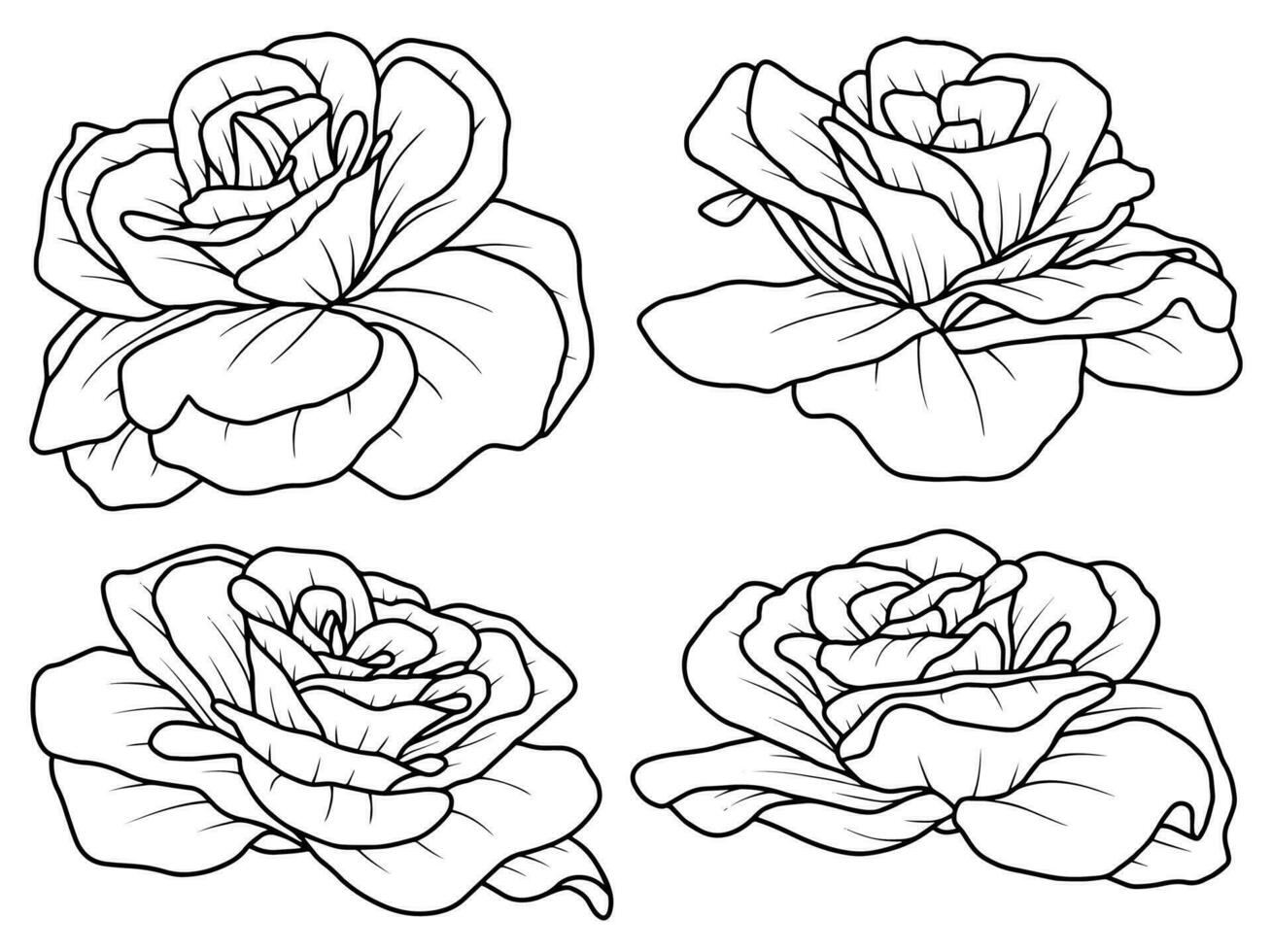 Flower line art vector