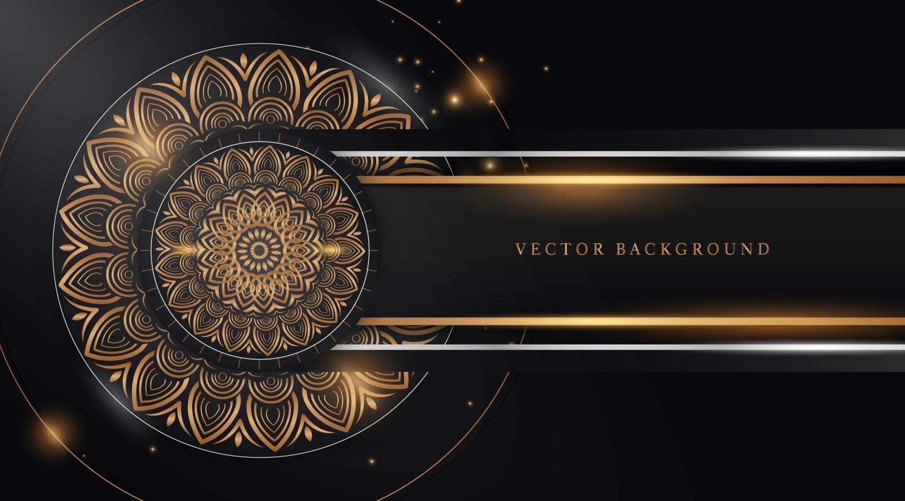 Abstract black and gold circle mandala background vector