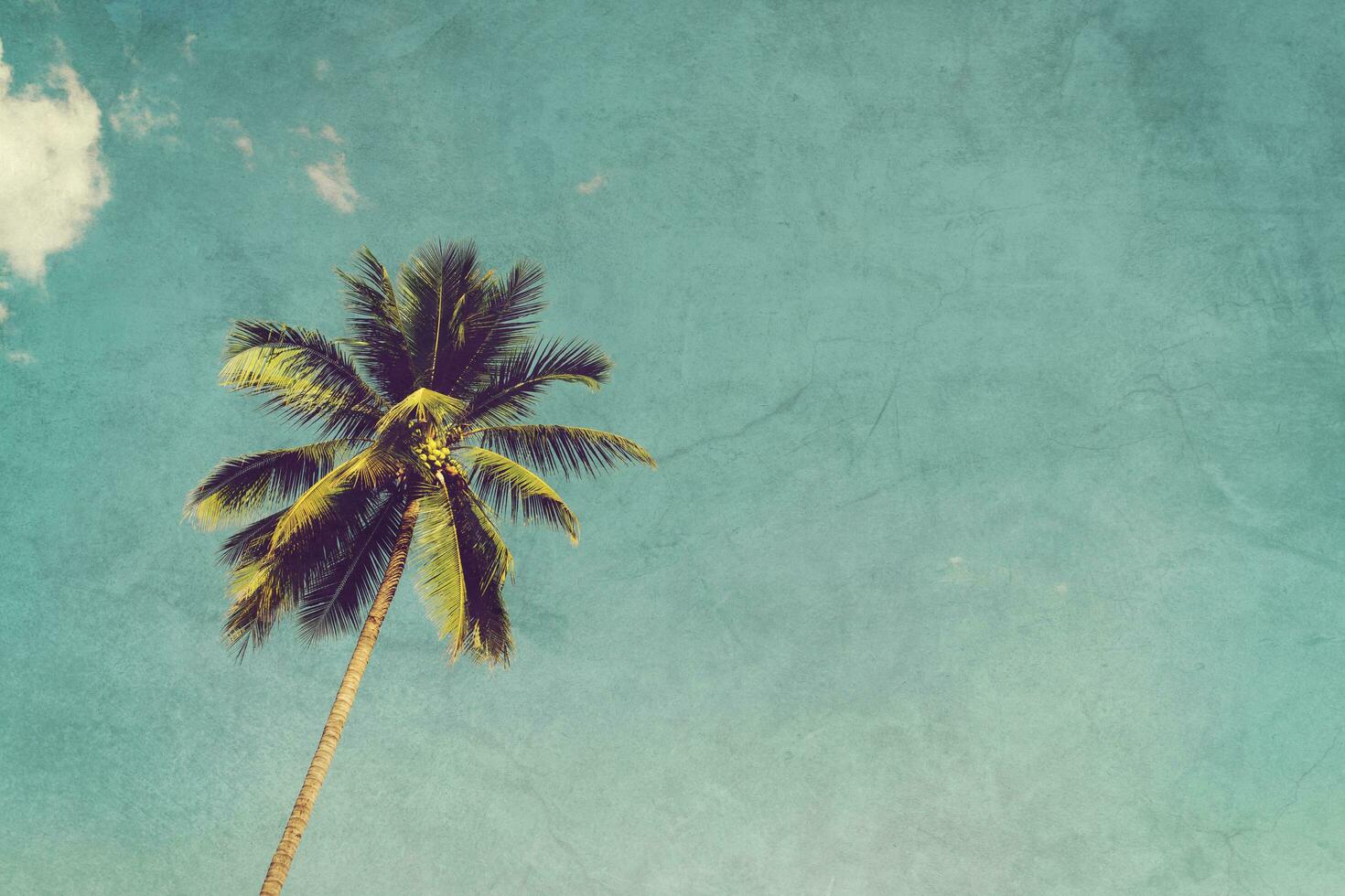 Coconut palm trees and shining sun with vintage effect. photo