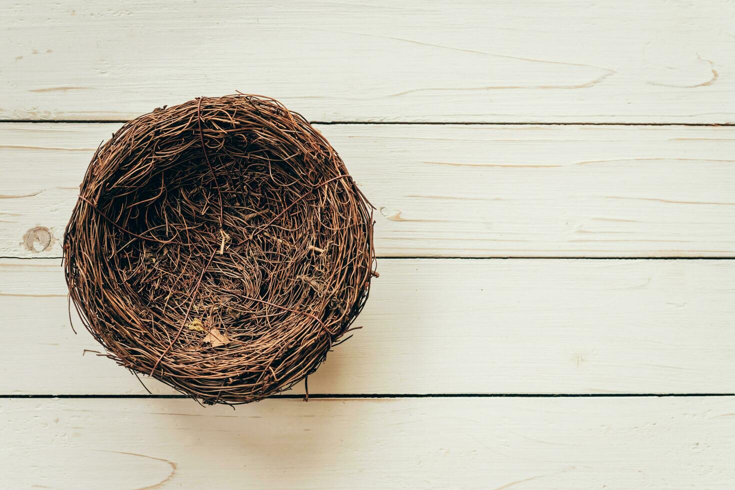 Blank nest on wood background with space photo