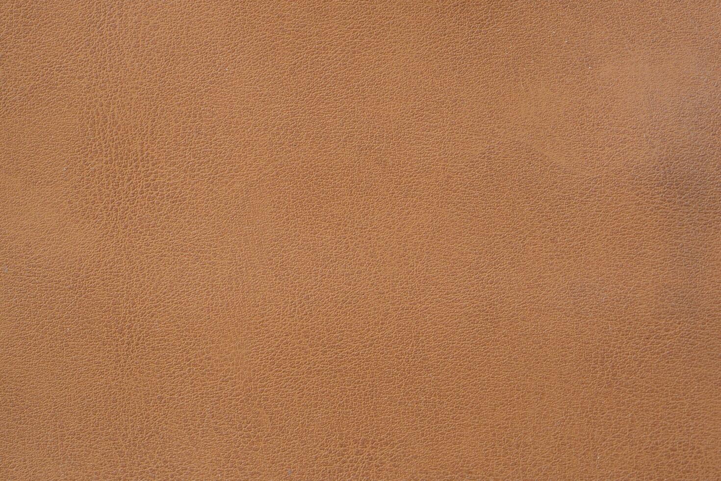 Deer Skin Stock Photos, Images and Backgrounds for Free Download