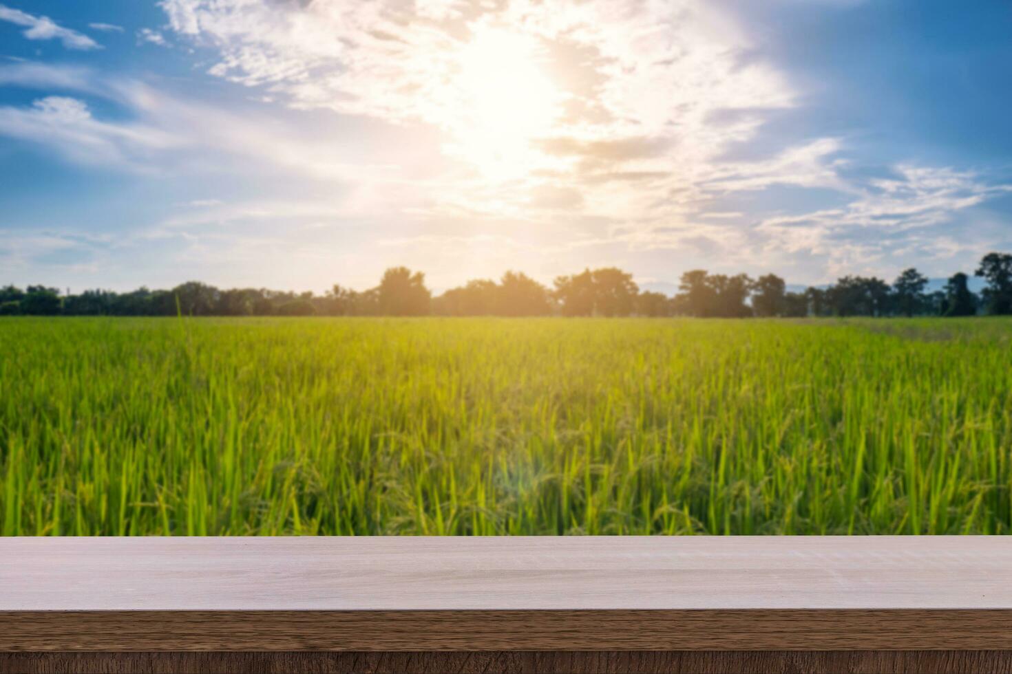wood table and space for product display montage with rice field and sunset. photo